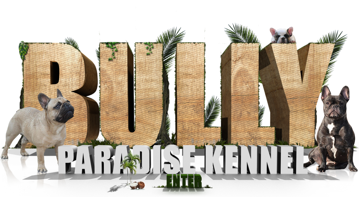 Bully Paradise Kennel - Klick to Enter